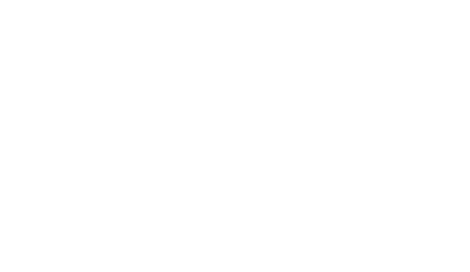 littlejungle: blog roślinny